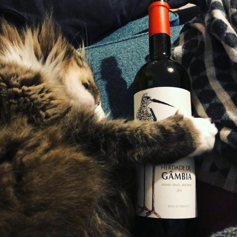We love wine and so does our cat, although we don’t allow her to