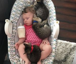 FunnyCatSite