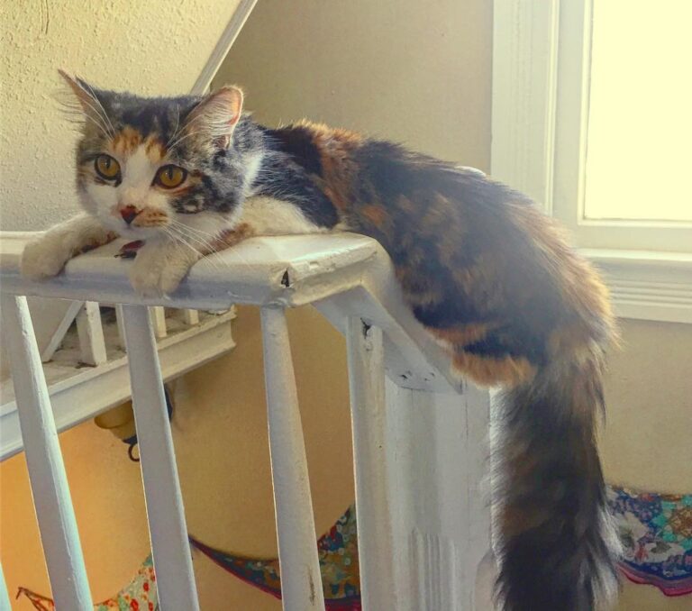 Well this looks comfortable. (Not)