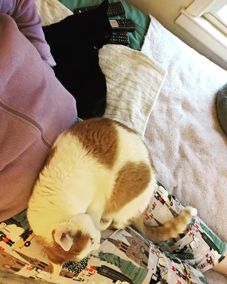 What rainy Saturday afternoons were made for. Cuddling with my
