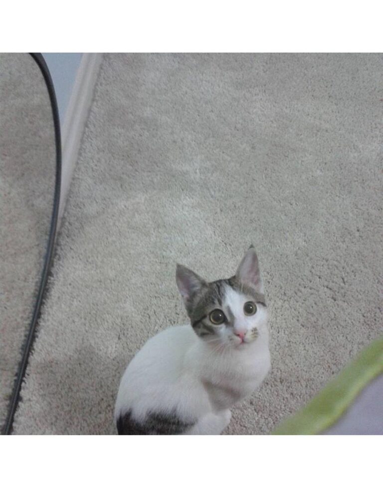 When she was a baby