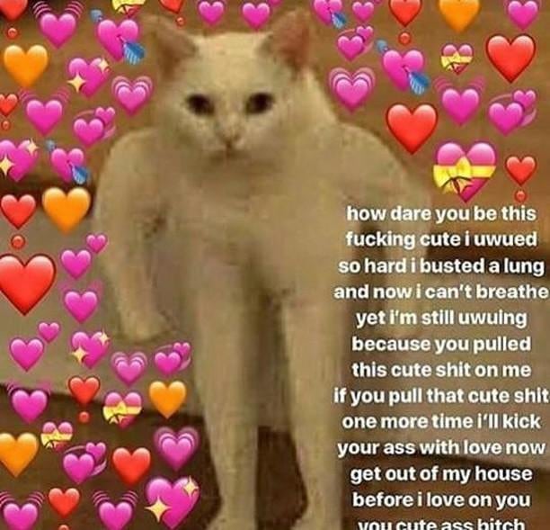 Wholesome boi – – – – – –