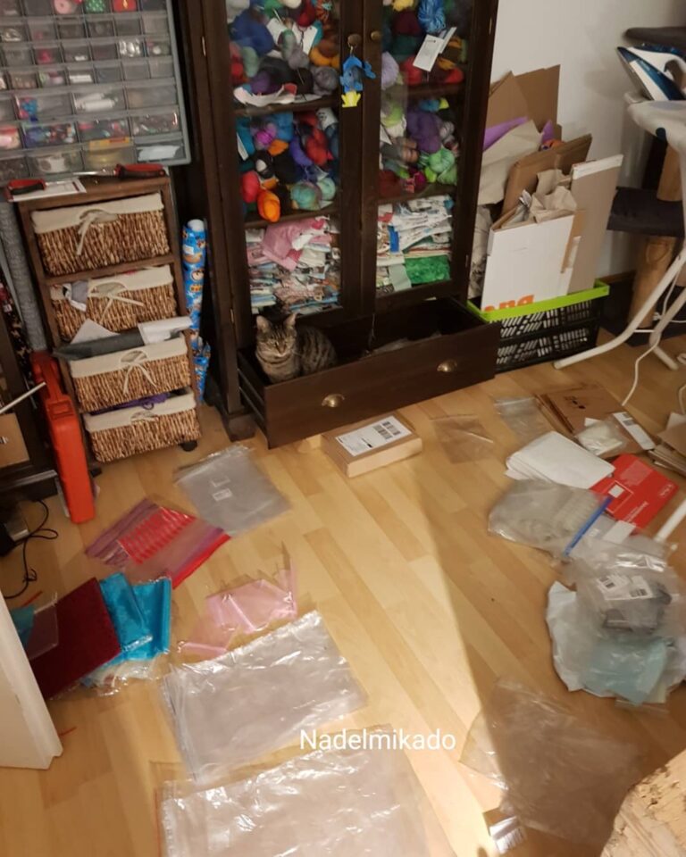 Wimmelbild! Wo ist die Katz? Ich bin mal am Ordnung schaffen…. äumen