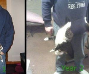 FunnyCatSite