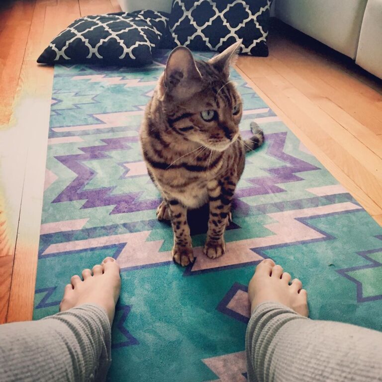 Yoga partner . . . .