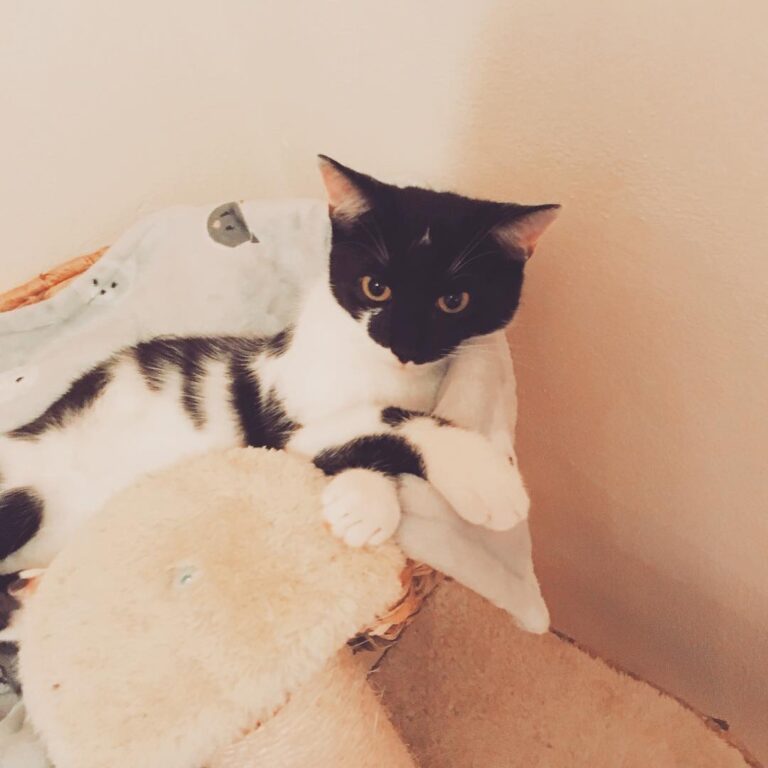 Little grumpy