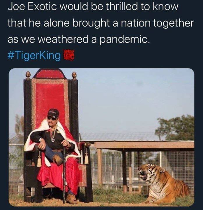 Have you watched it?
