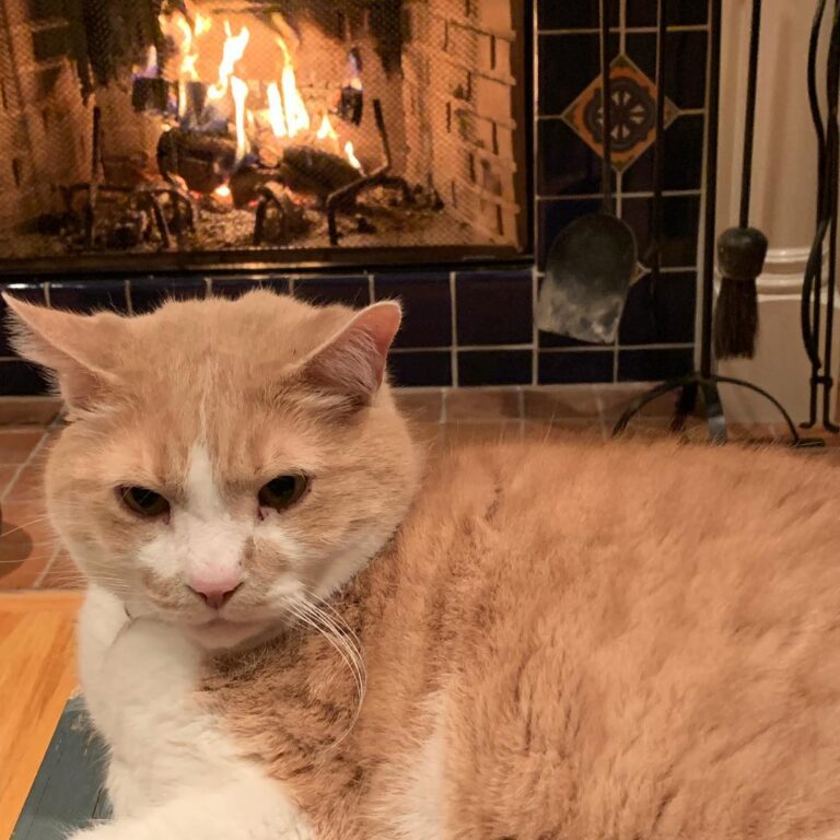 ALWAYS by the fire this one. Must be his element. . . .