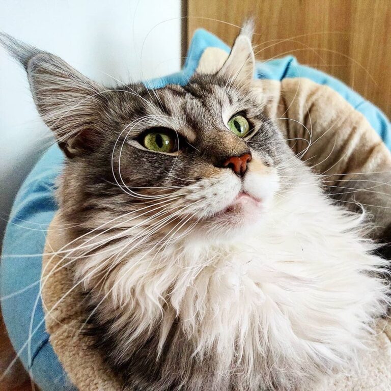 Ah human dont you think Is time to leave the house for a bit, I Need