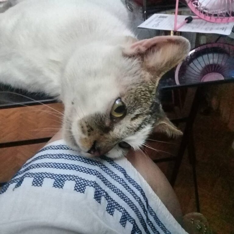 Alguien esta mimoso con la madre. Anibal