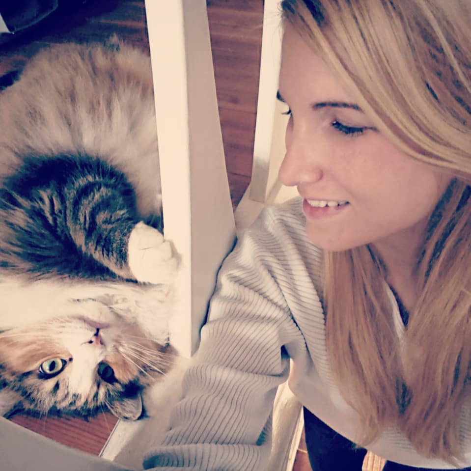 Can someone get me my own kitty?