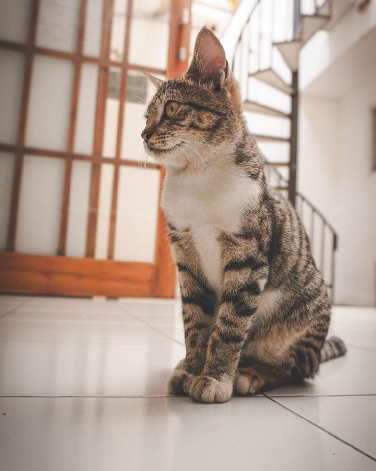 Cute?? Press the like button if yes
•Follow