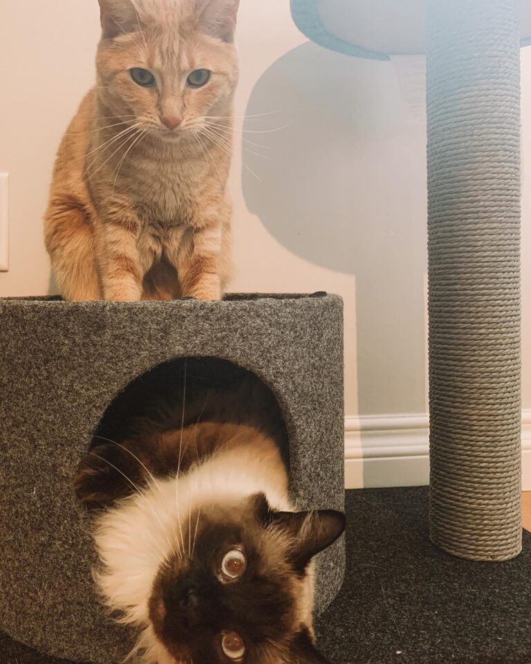 Getting pretty good at this whole sharing thing • • •
