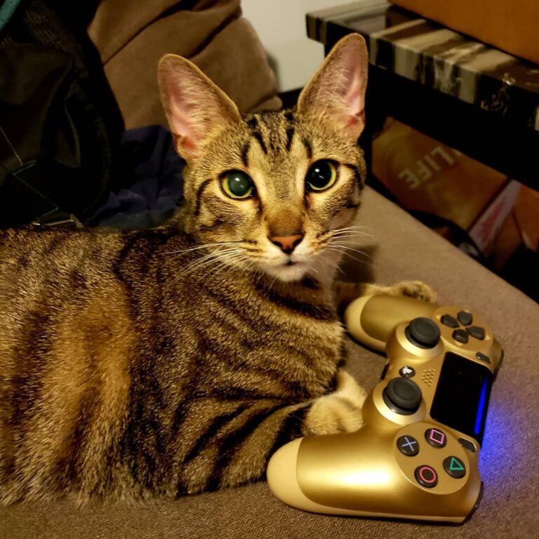 Grab your sticks!