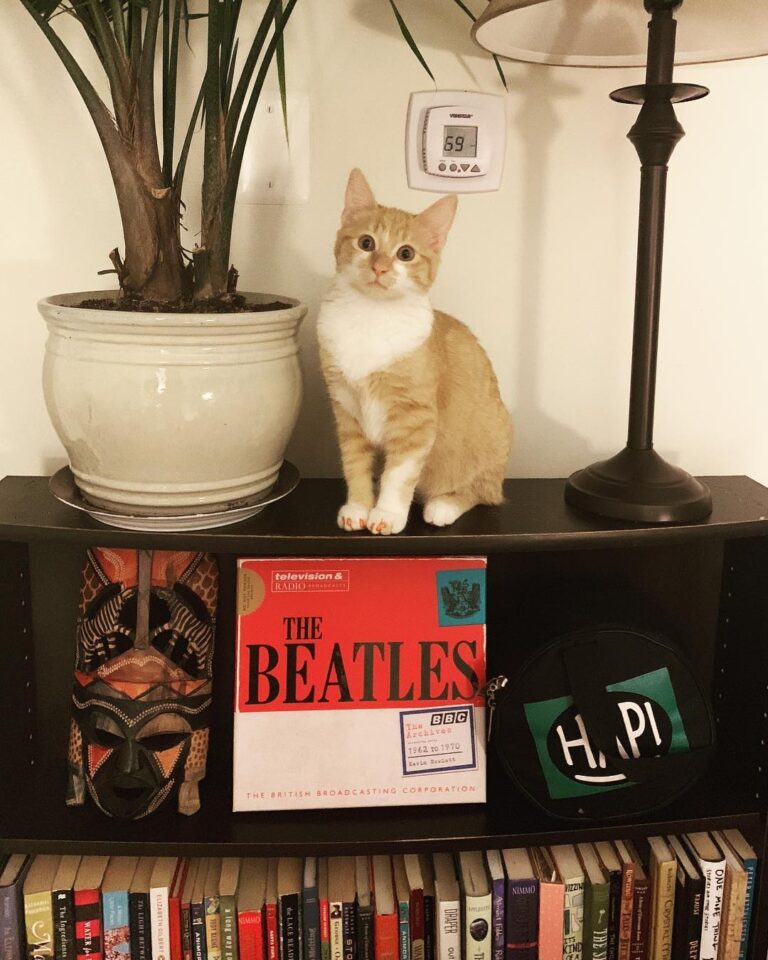 He’s a fierce little kitty.