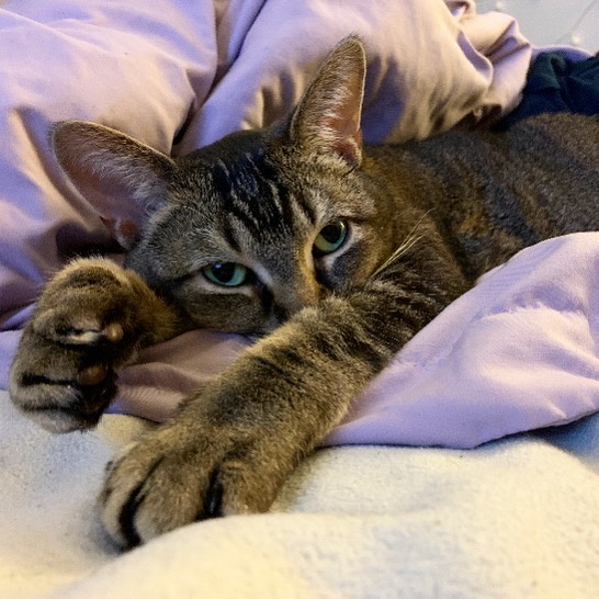 I LOVE lazy Saturdays!