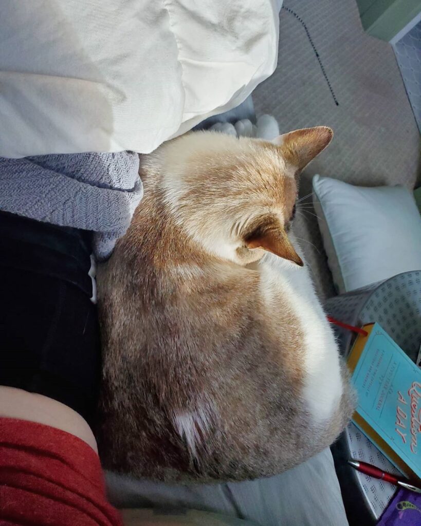I like to sleep next to mom!-Coconut