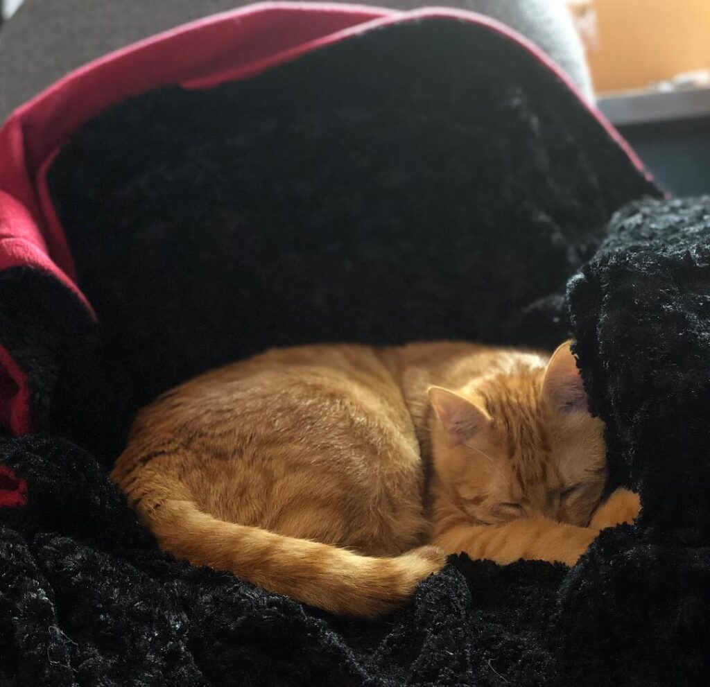 I stole my mom’s chair! Haha! . . .