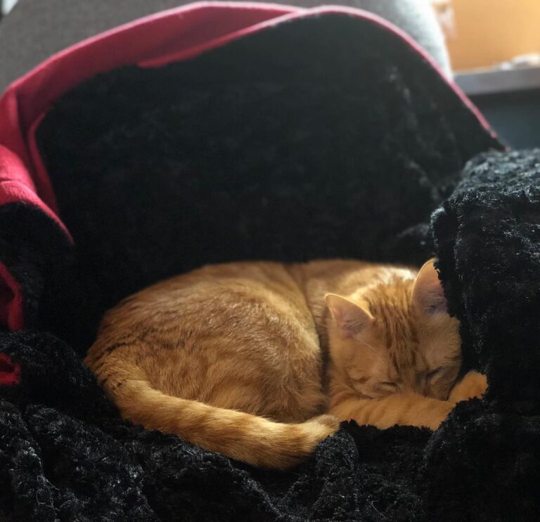 I stole my mom’s chair! Haha! . . .