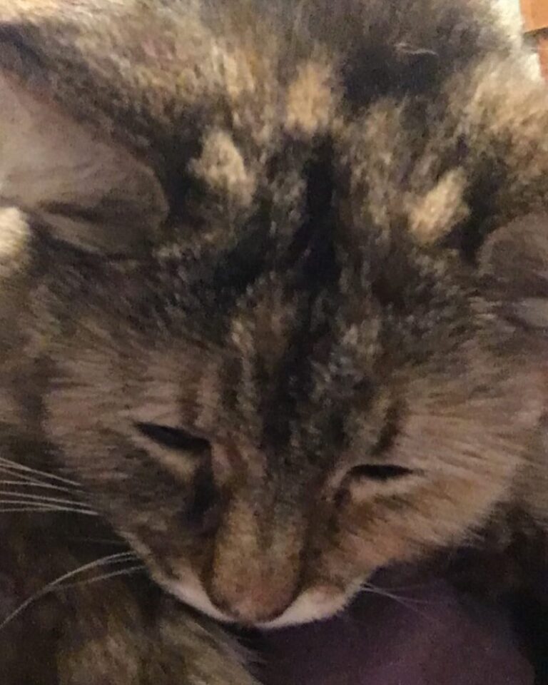 I wonder what’s going on in her little head? I bet she’s planning her