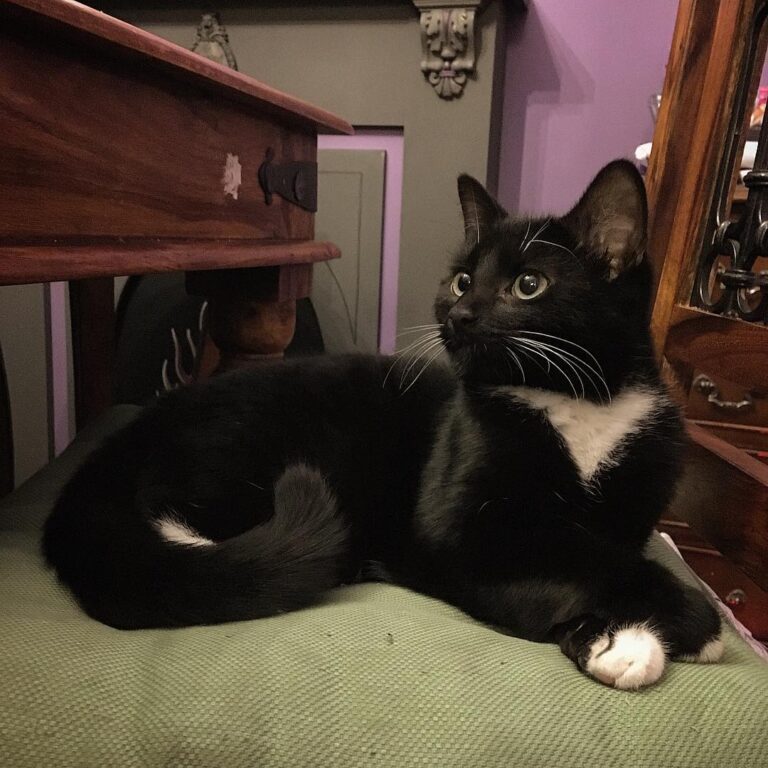 If you leaves, I sits.
