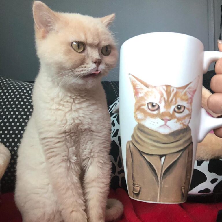 It’s way more tastier when I drink from mommy’s mug