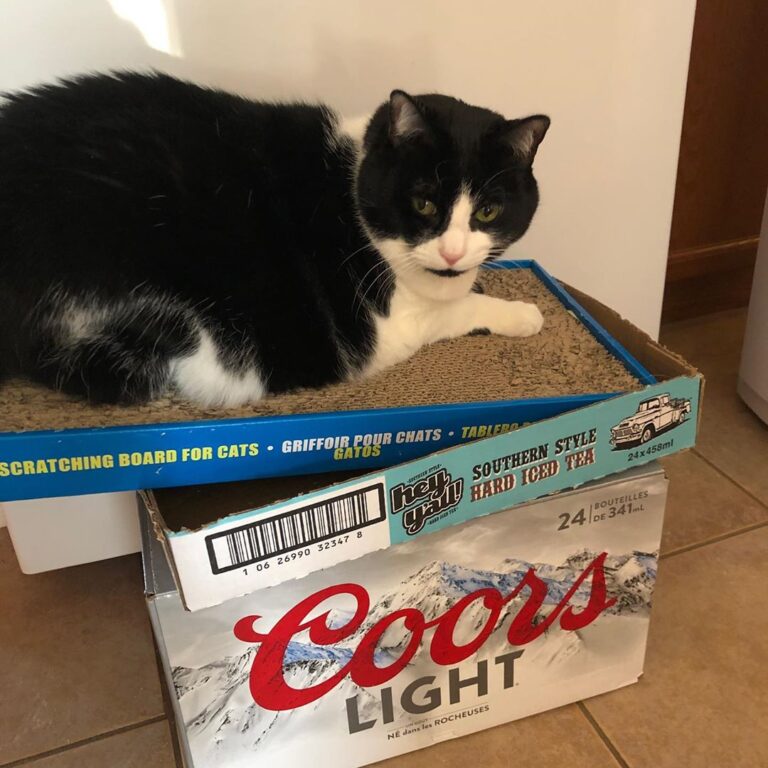 Izzy kicked this box thing up a notch.