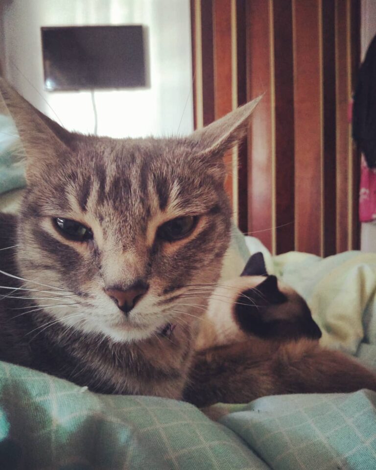*Jabba snores* . . . . . .