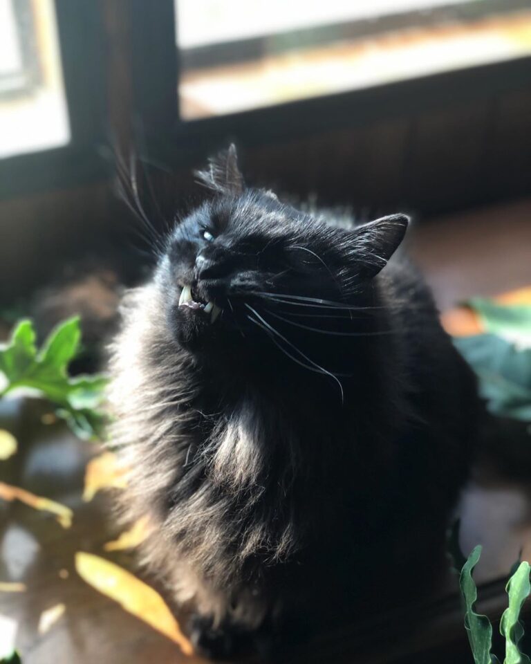 Johnny’s attempt at being photogenic. . . .