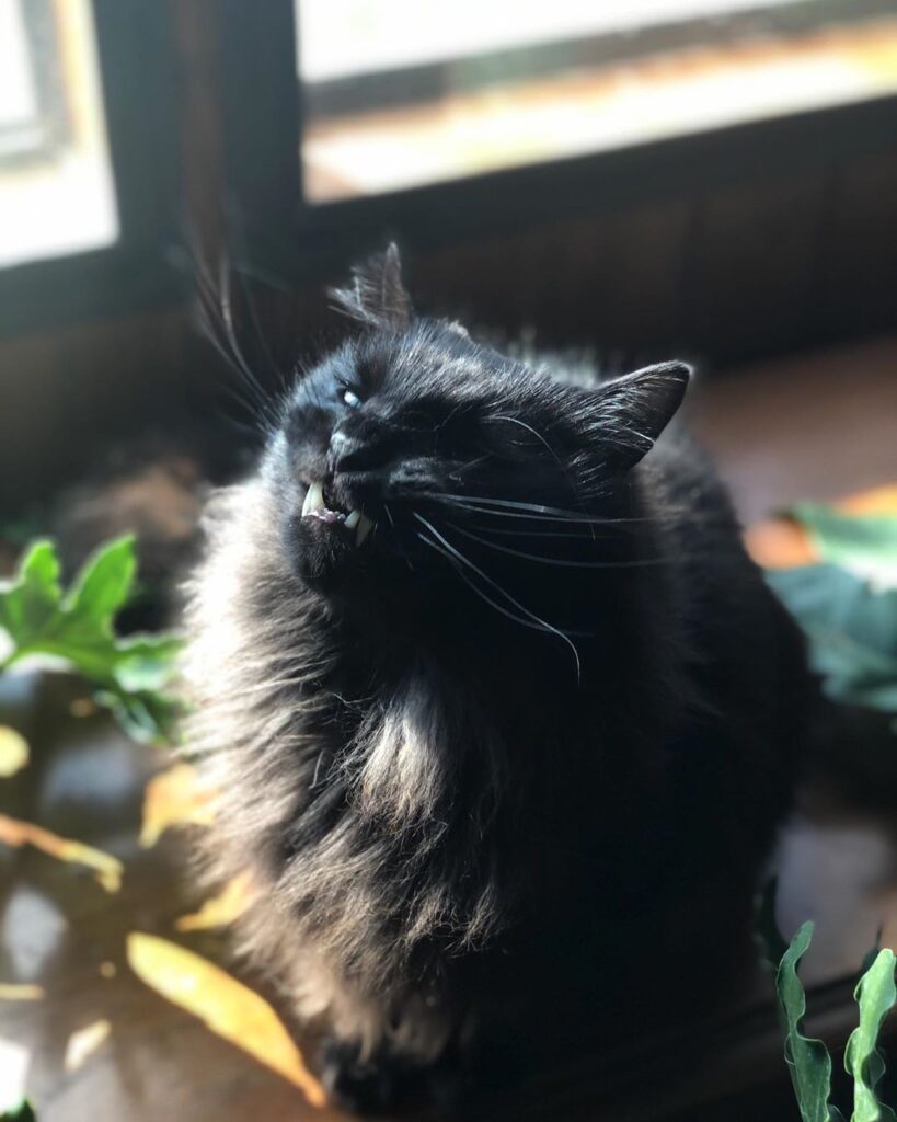 Johnny’s attempt at being photogenic. . . .