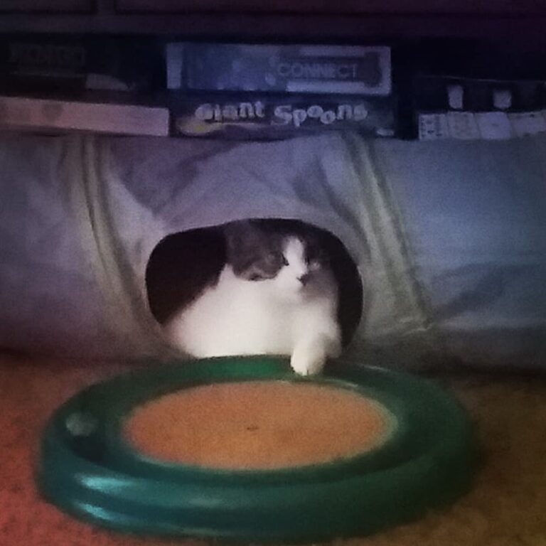 Just layin’ in my tube