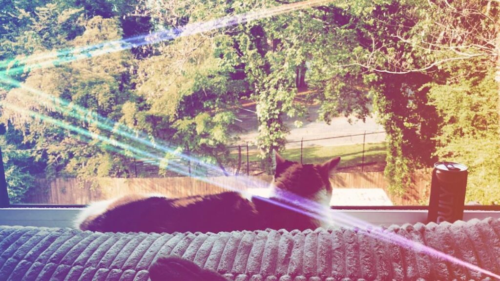 L•O•M•L • • •