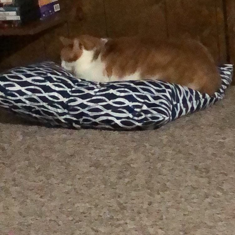 Momma started packing today. I thought she was going to leave without