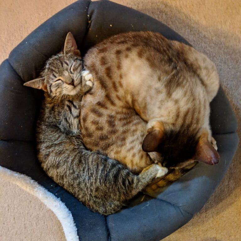 Mouse makes a great bum warmer. . . . . . . . . . . .