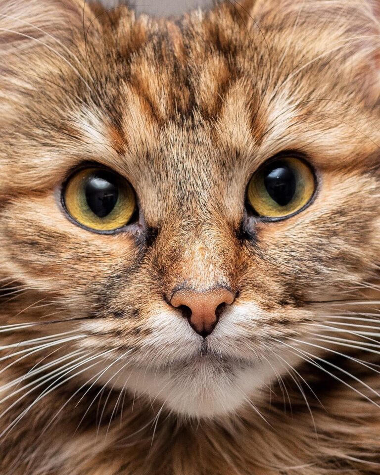 New year, new quality of photos! How do you like this closeup? _
