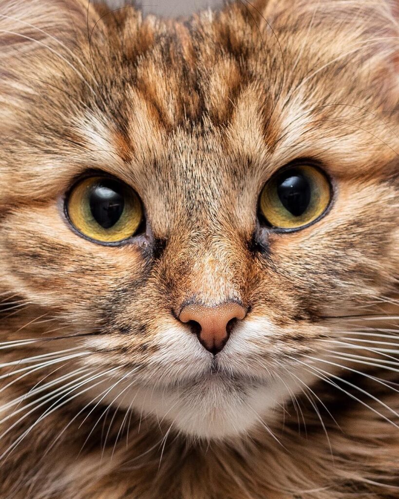 New year, new quality of photos! How do you like this closeup? _