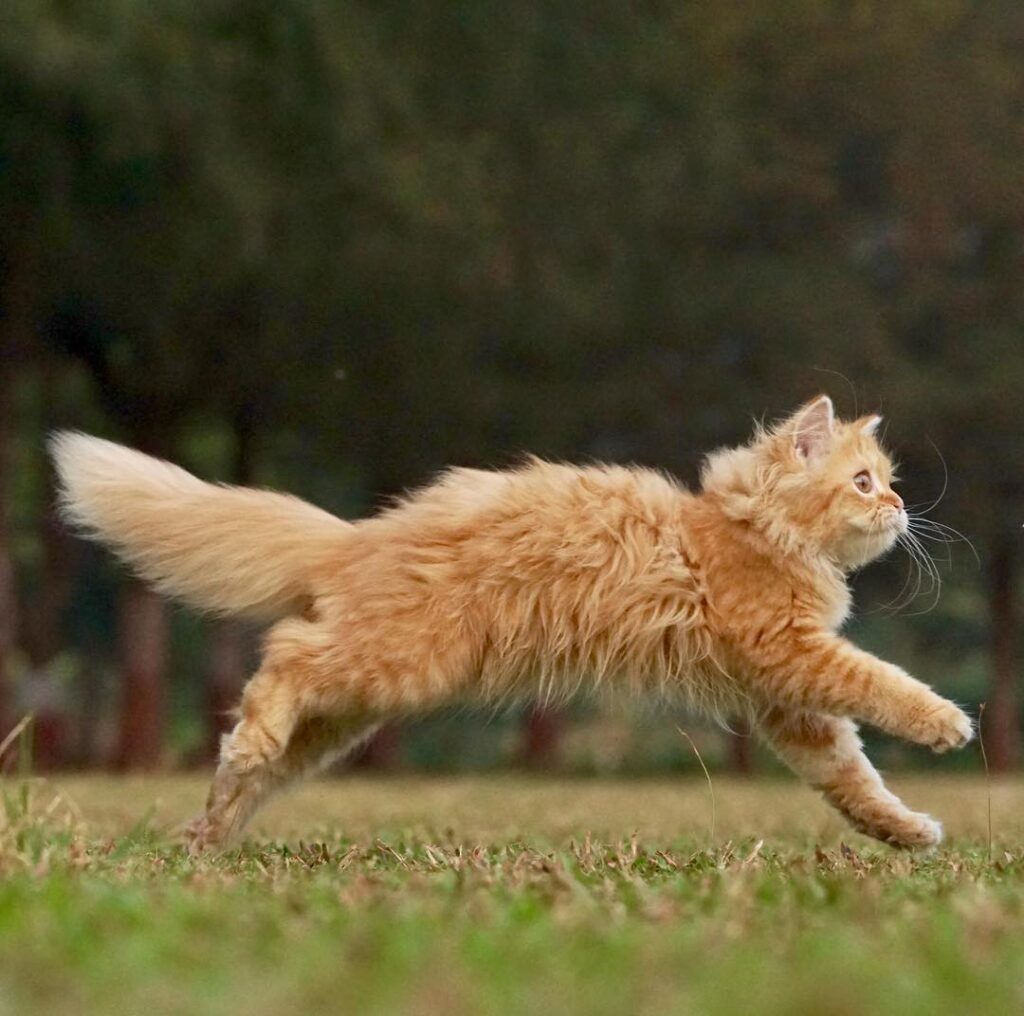 Nothing beats a good stretch Photography credits: