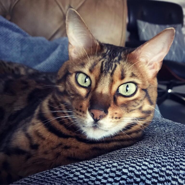 O! Hi!! . . . .