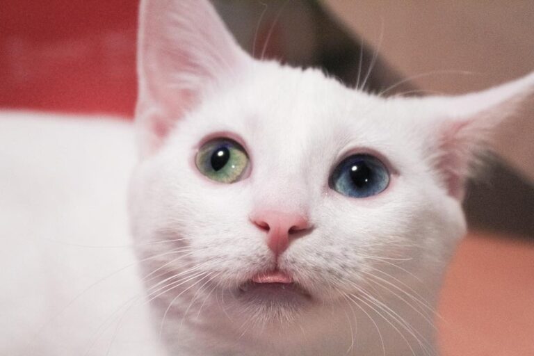 Oh, you caught me off guard