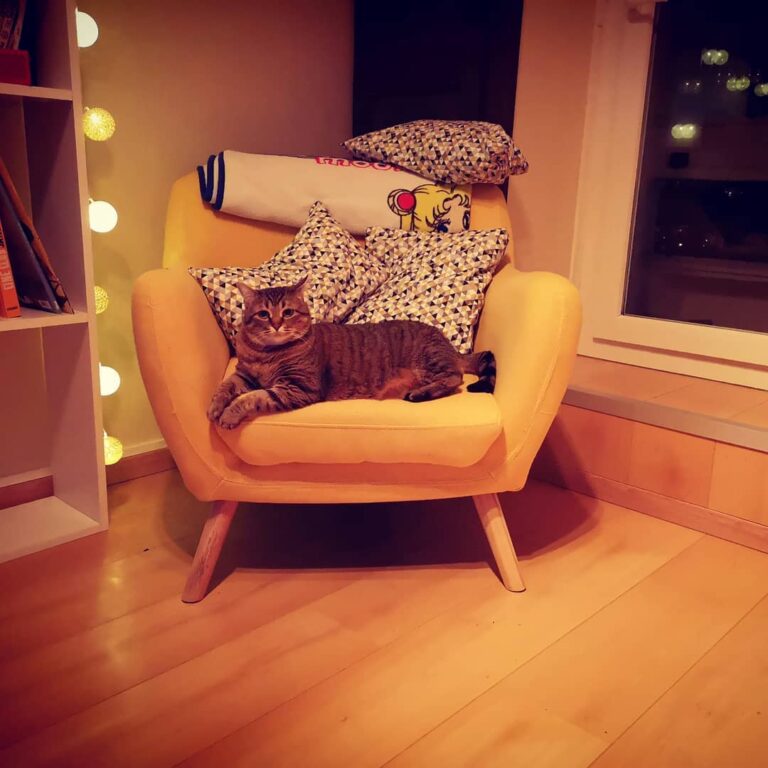 Pendant ce temps, Diana valide la nouvelle place du fauteuil.