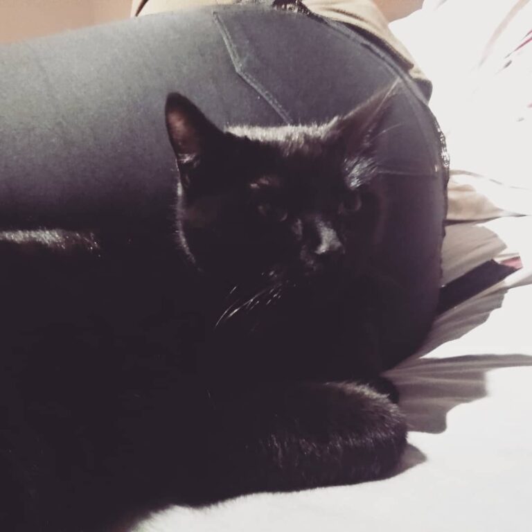 Podobno najwygodniejszy tyłek w mieście