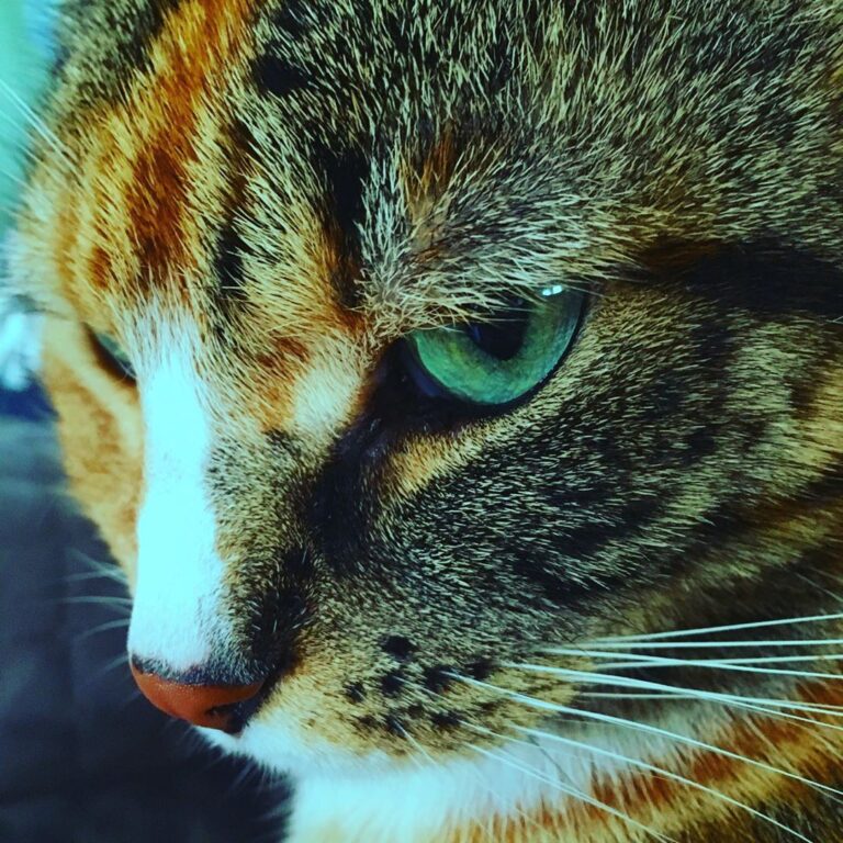 Profile pic.