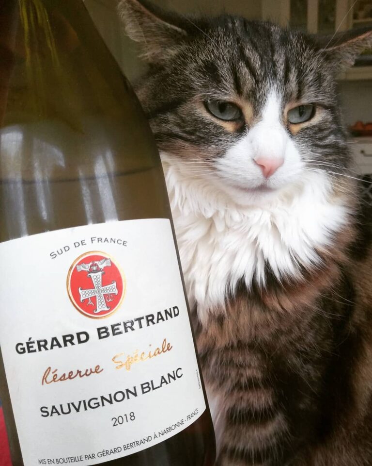 Purr-fect Saturday Sauvignon Blanc from Elegant and intense with