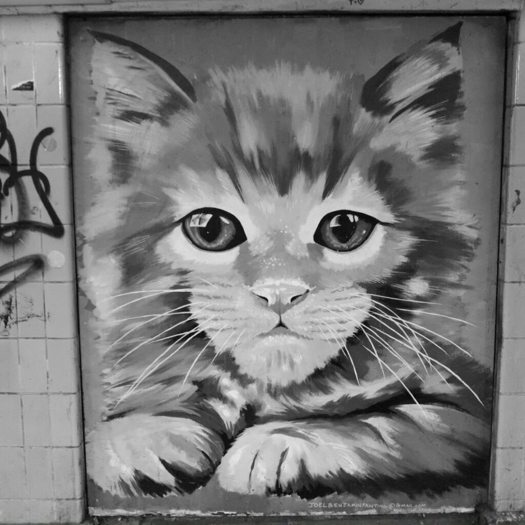 Purr-fect..