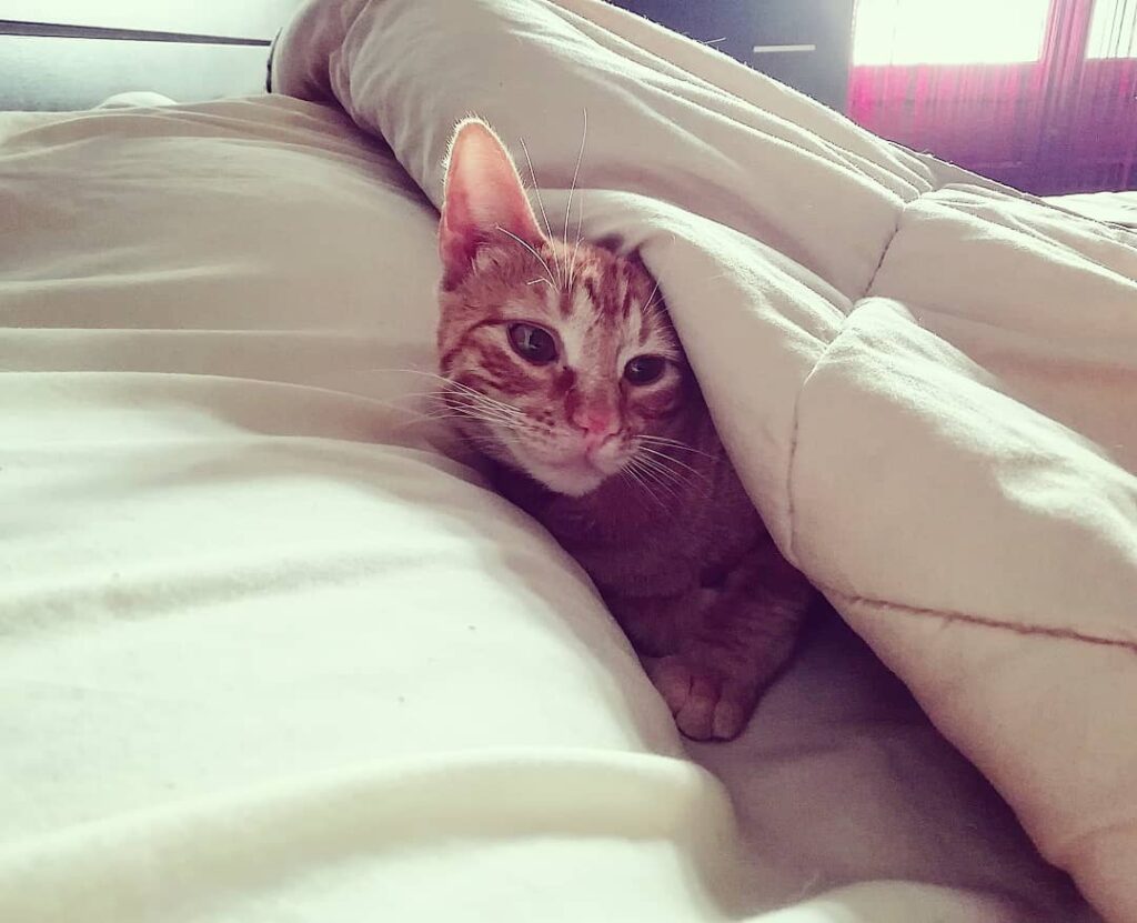 Quando começa a ficar frio