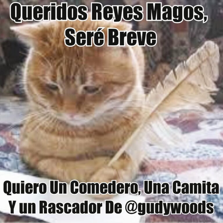 Queridos Reyes Magos , Quiero: Un comedor de silueta de gato con dos