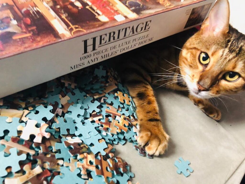 Rainy day = jigsaw puzzle