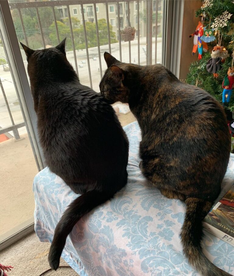 Rare sweet moment between Athena and Oscar Wilde. She’s been even