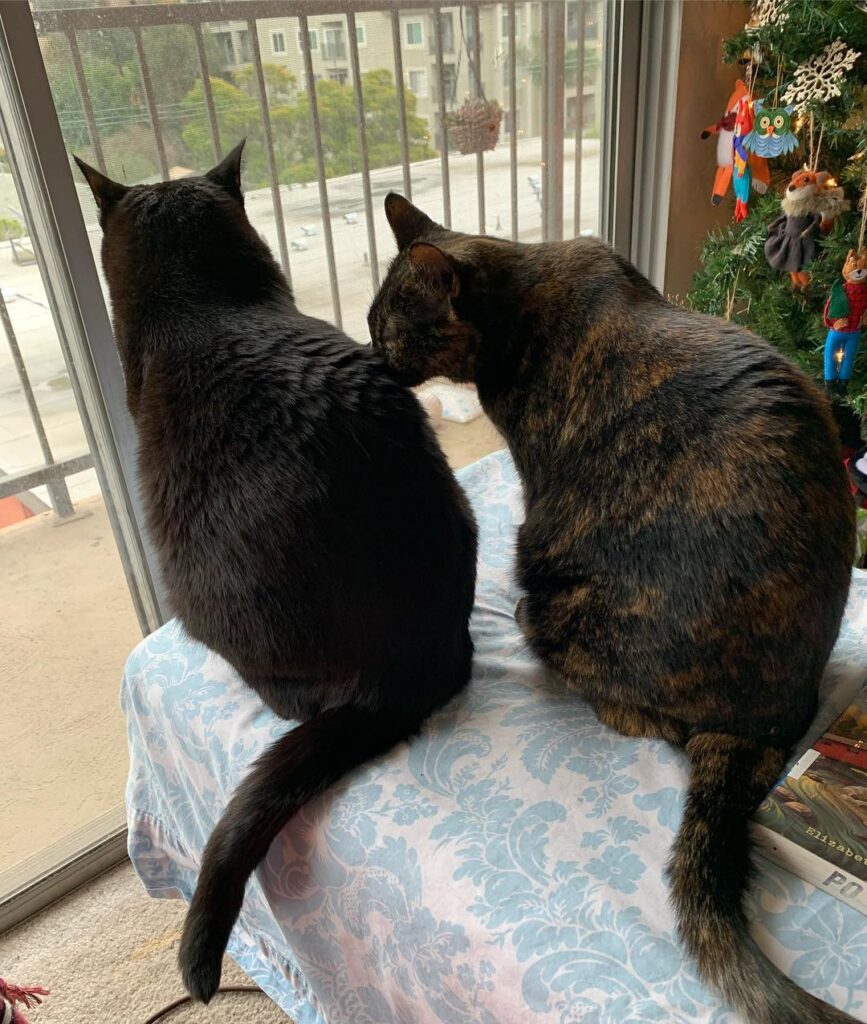 Rare sweet moment between Athena and Oscar Wilde. She’s been even