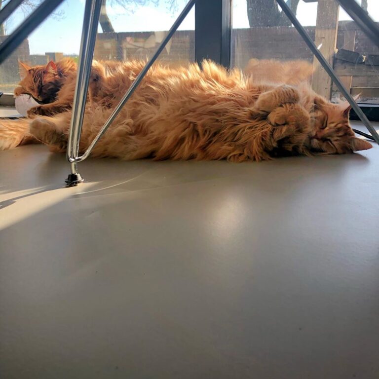Relax & have a great weekend!